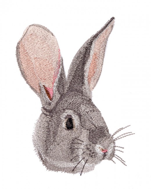 BFC1644 Three Bunny Portraits