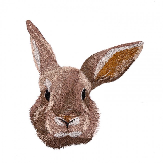 BFC1644 Three Bunny Portraits