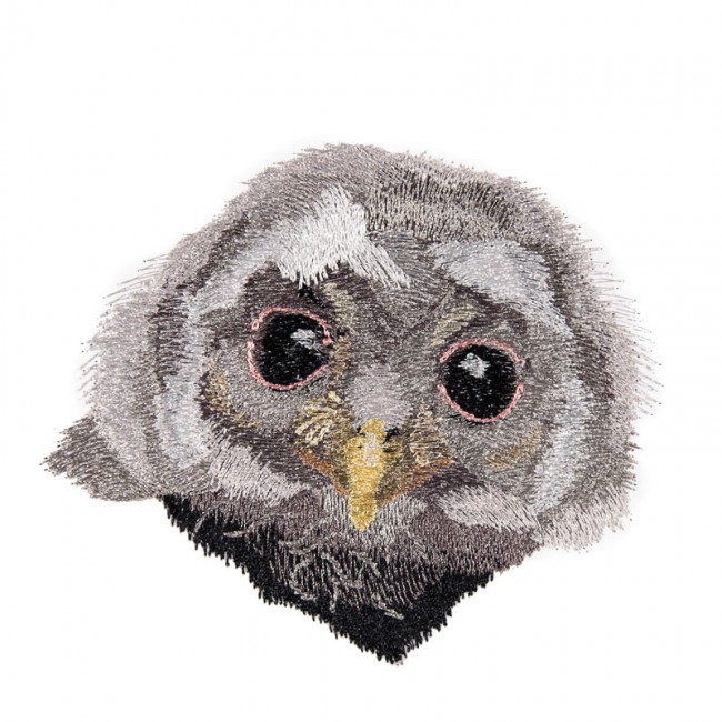 BFC1647 Three Baby Owl Portraits