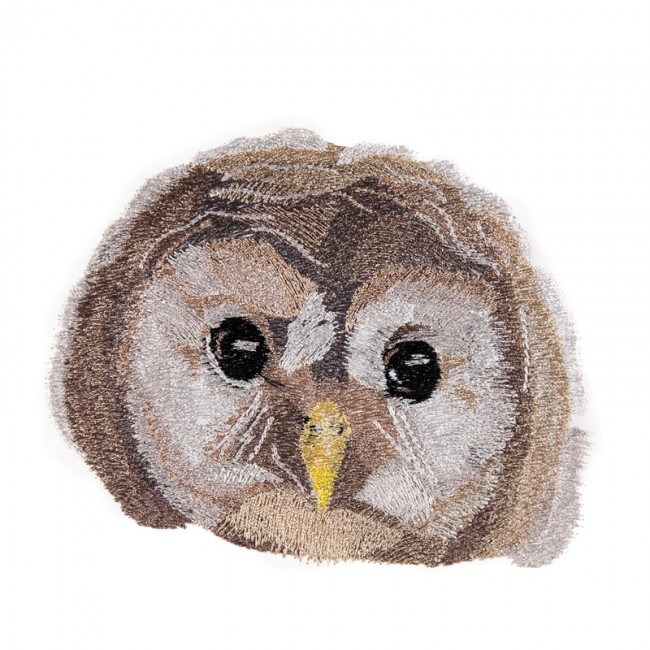 BFC1647 Three Baby Owl Portraits