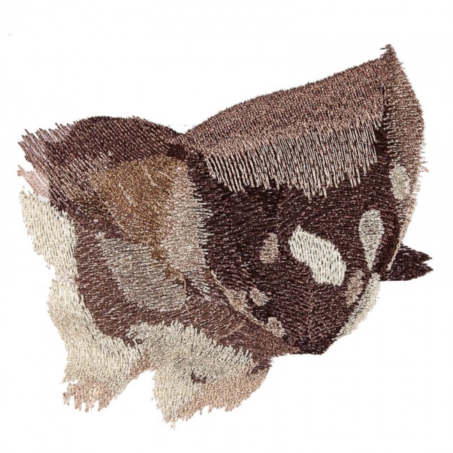 BFC1649 Large Baby Owl