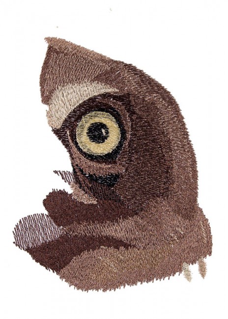 BFC1649 Large Baby Owl