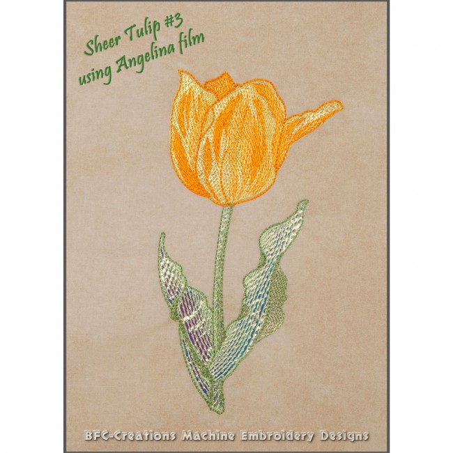 BFC1651 Sheer Tulips