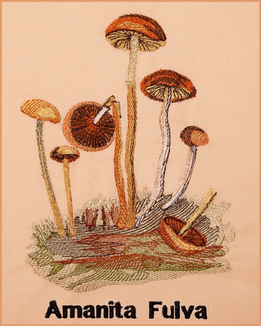 BFC1661 Vintage Mushrooms