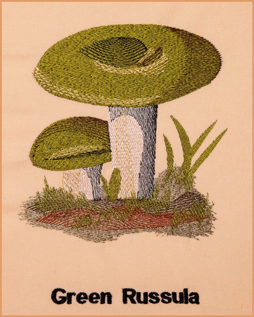 BFC1661 Vintage Mushrooms