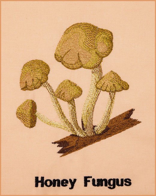 BFC1661 Vintage Mushrooms