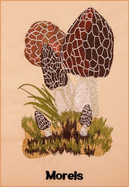 BFC1661 Vintage Mushrooms