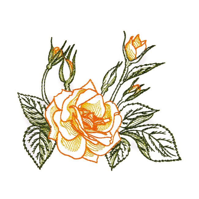 BFC1663 Delicate Roses