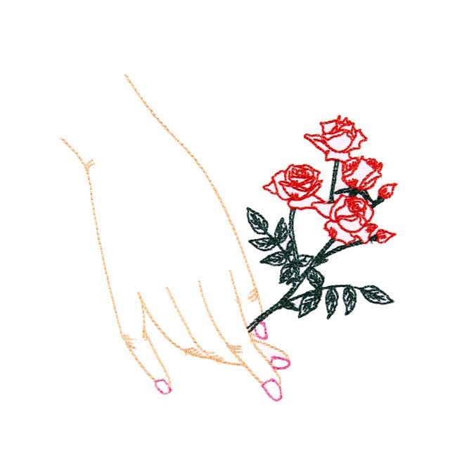 BFC1663 Delicate Roses