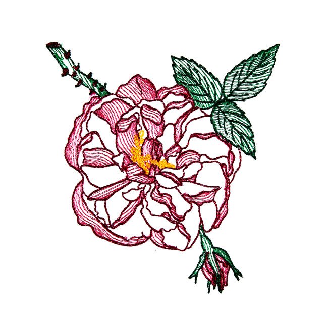 BFC1663 Delicate Roses