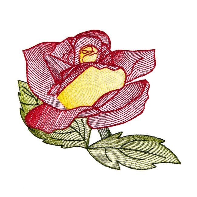 BFC1663 Delicate Roses