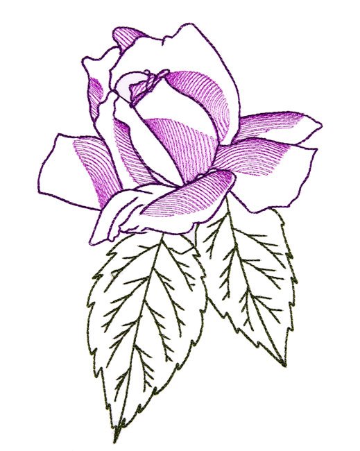 BFC1663 Delicate Roses
