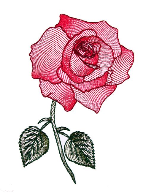 BFC1663 Delicate Roses
