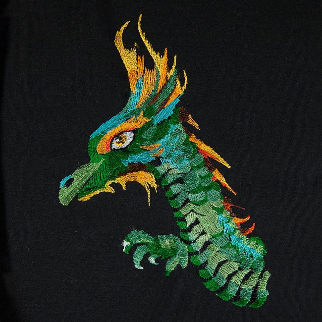BFC1669 Dragon Dreams
