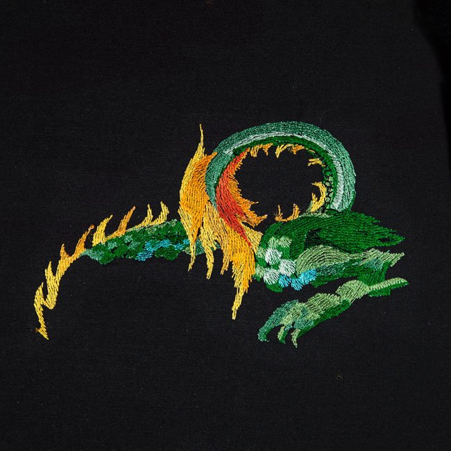 BFC1669 Dragon Dreams