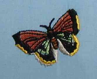 BFC0167 Butterfly Pack