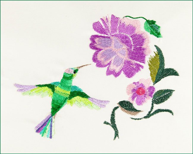 BFC1671 The Hummingbird in the Garden