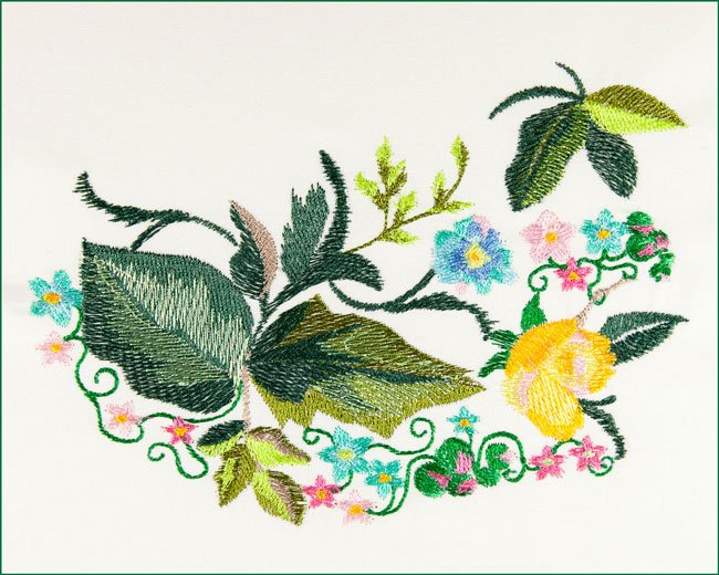 BFC1671 The Hummingbird in the Garden