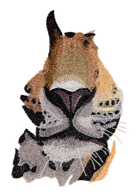 BFC1672 Large Jaguar Portrait