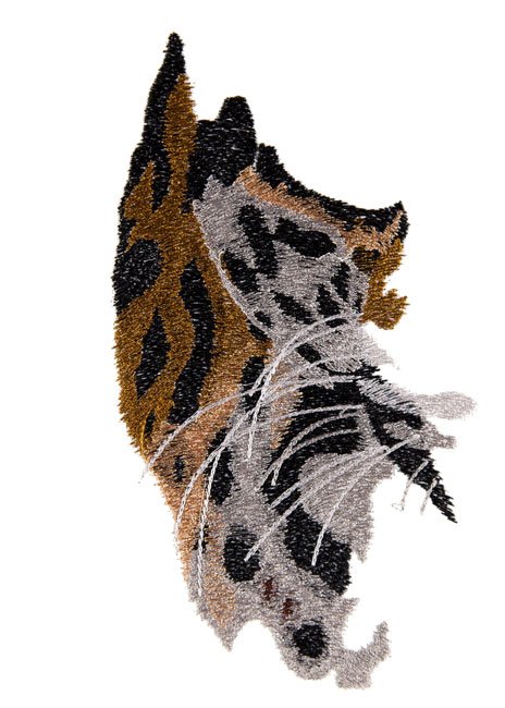 BFC1672 Large Jaguar Portrait