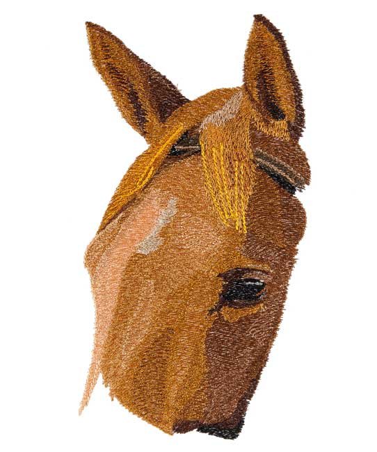 BFC1678 Large Horse Portrait