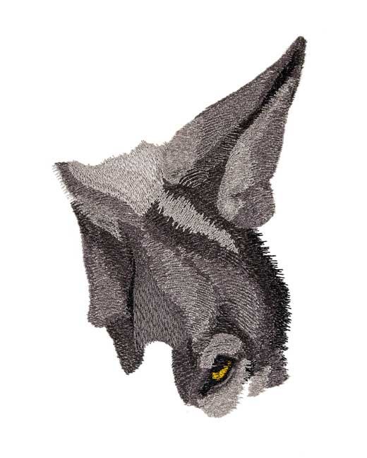 BFC1679 Large Wolf Portrait