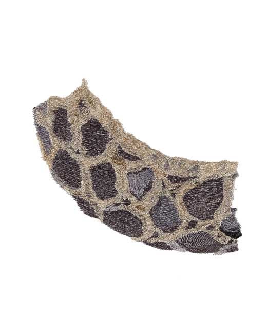 BFC1689 Large Kitten in a Hammock