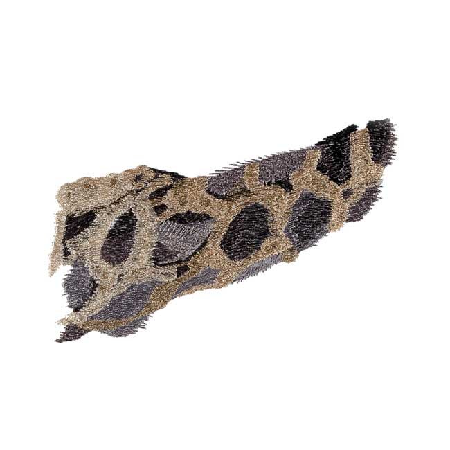 BFC1689 Large Kitten in a Hammock