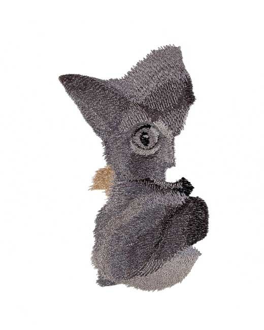 BFC1689 Large Kitten in a Hammock