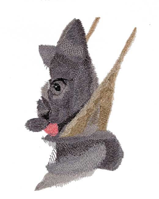 BFC1689 Large Kitten in a Hammock