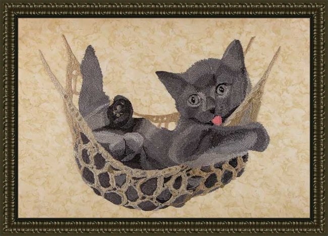 BFC1689 Large Kitten in a Hammock