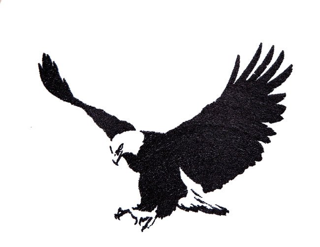BFC1714 Blackwork Eagles