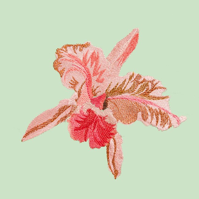 BFC1721 Haeckel's Orchid and 3 Brazilian Hummingbirds