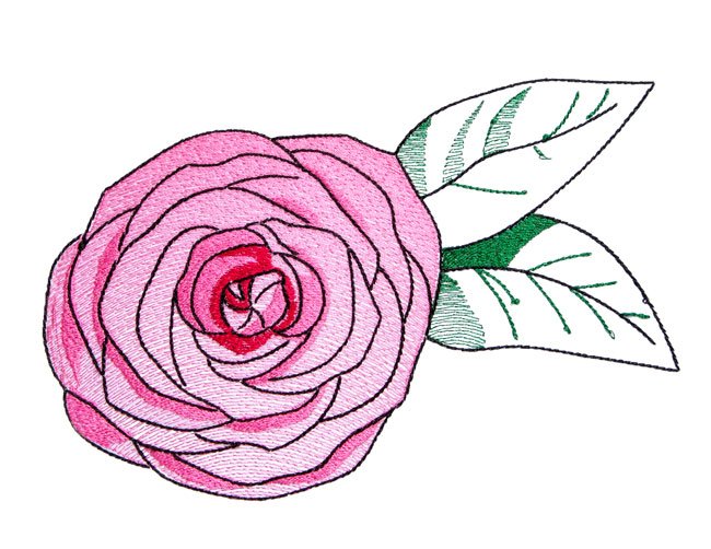 BFC1724 Decorative Roses
