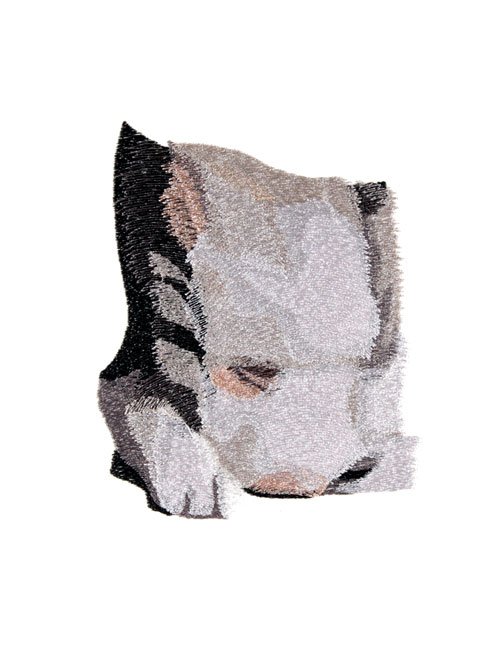 BFC1753 Large Seated Cat "Are you trying to tell me something"