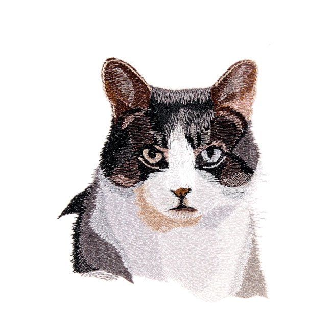 BFC1753 Large Seated Cat "Are you trying to tell me something"