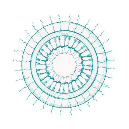 BFC1754 Ernst Haeckel's Ocean Quilt Blocks