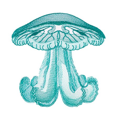 BFC1754 Ernst Haeckel's Ocean Quilt Blocks