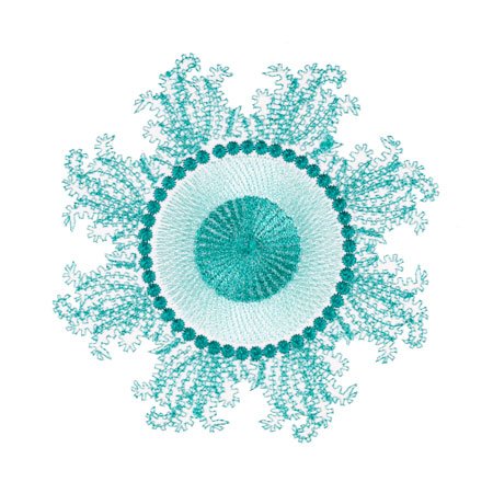 BFC1754 Ernst Haeckel's Ocean Quilt Blocks