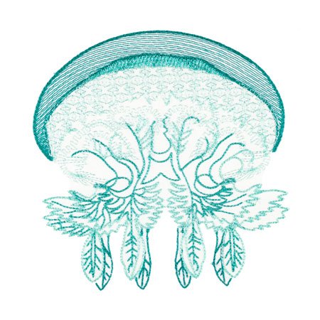 BFC1754 Ernst Haeckel's Ocean Quilt Blocks - 11