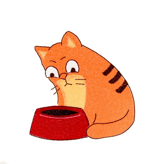 BFC1757 Cat Expressions