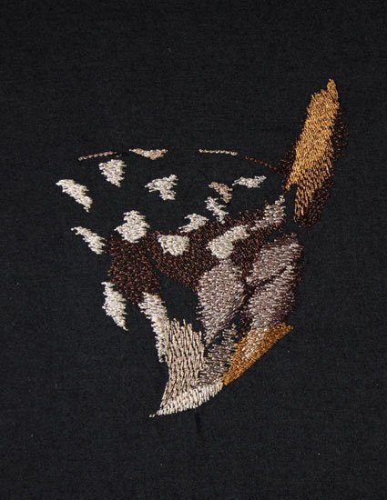 BFC1766 Large Eagle Owl Portrait