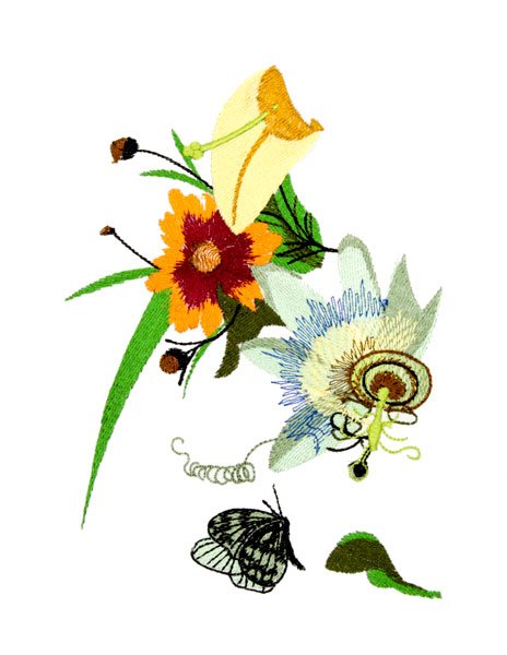 BFC1780 Large Bouquet featuring an Aztec Lily
