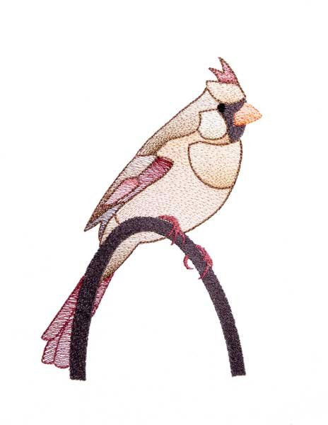 BFC1784 Sheer Cardinals