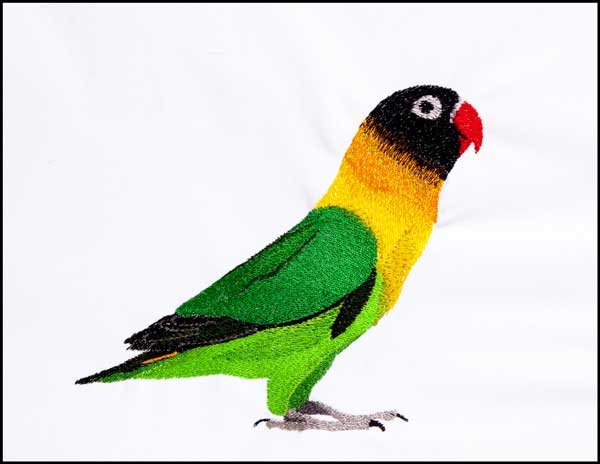 Five Lovebirds