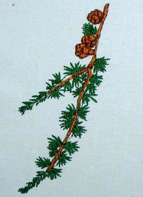 BFC0182  Winter Greenery