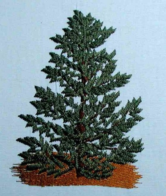 BFC0182  Winter Greenery