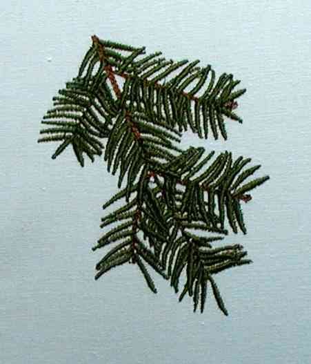 BFC0182  Winter Greenery