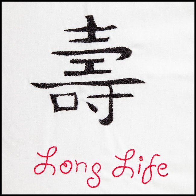 BFC1826 Five Chinese Characters Fun Set