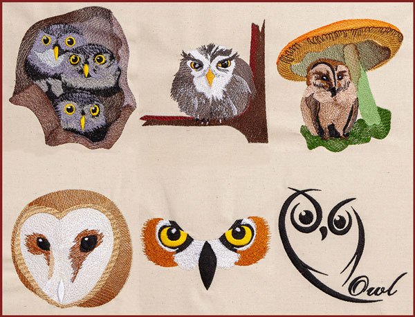BFC1828   Owl Variety